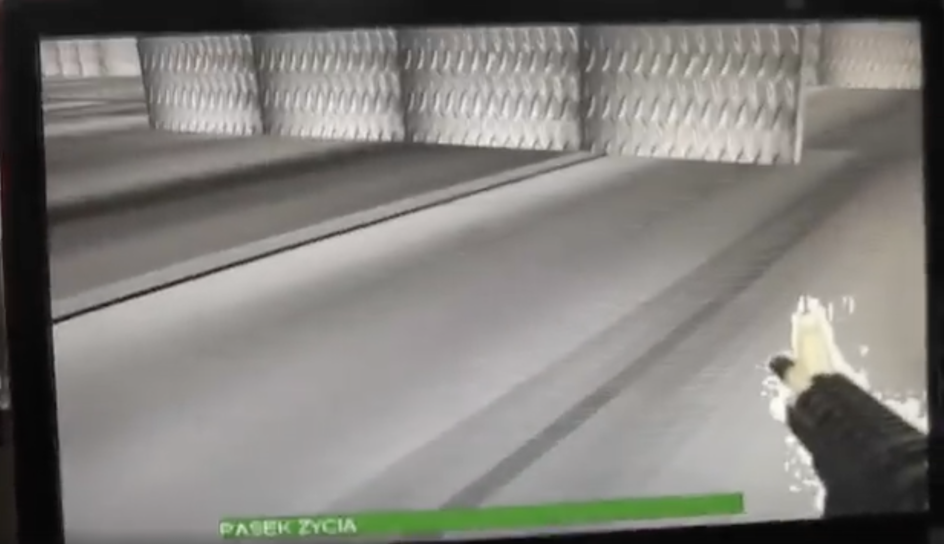 Epic game (actually crazy I found a picture of this, I let it die but it refused.)